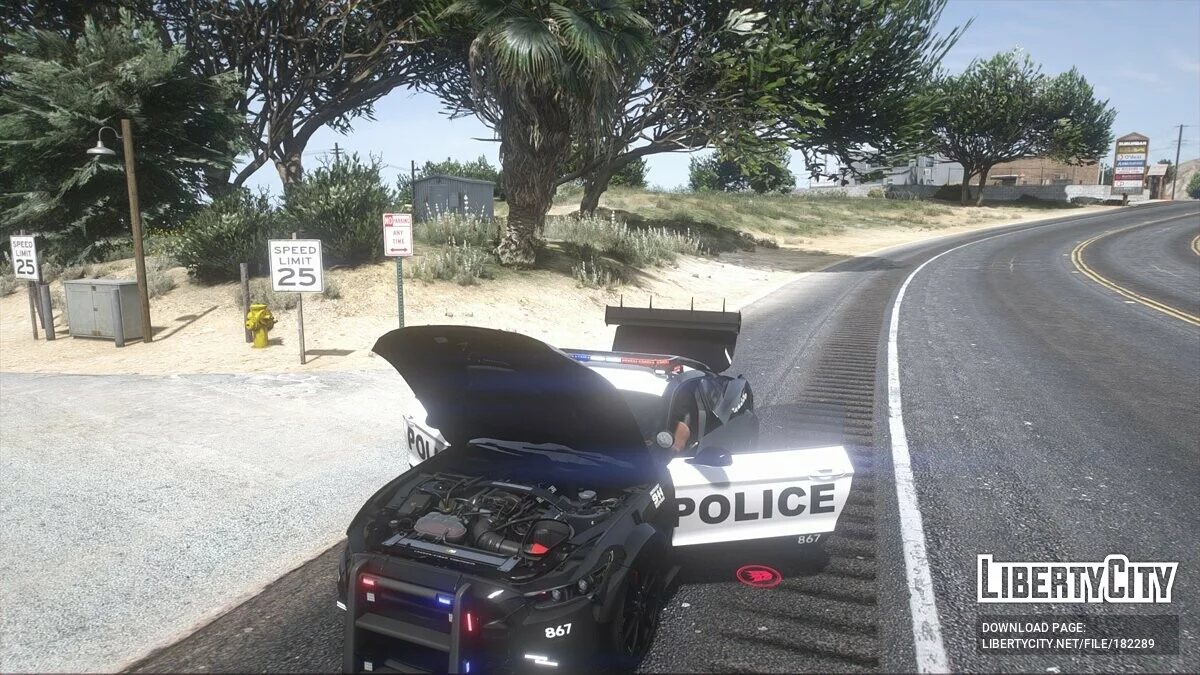 Ford Mustang Widebody Police / GTA 5