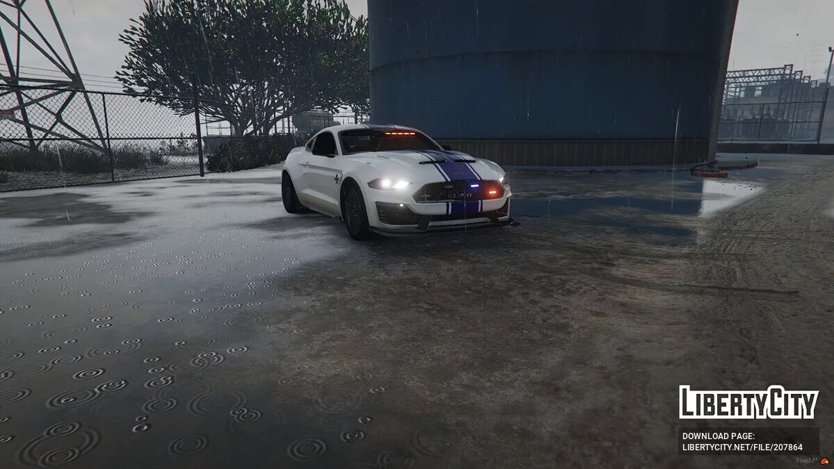 2019 Ford Mustang Shelby Super Snake / GTA 5