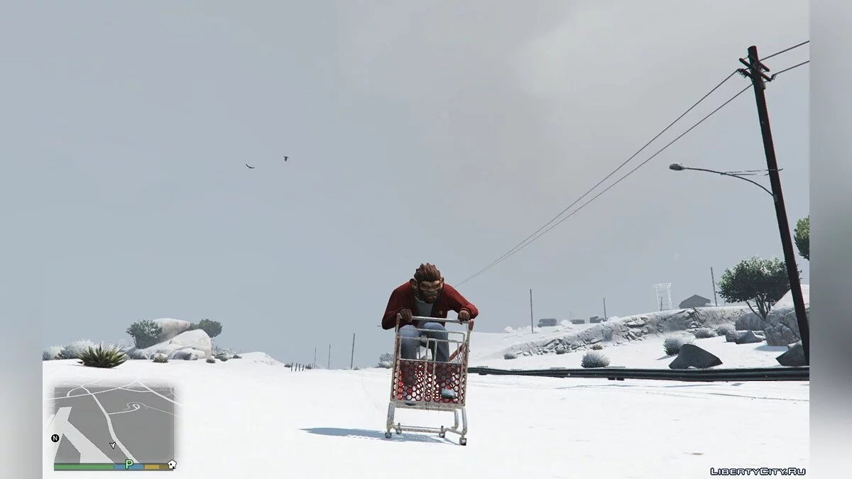 Shopping Cart 1.0 / GTA 5