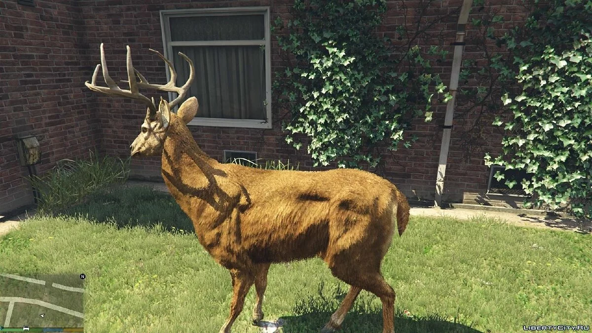 GTA Realism 0.5.1 / GTA 5