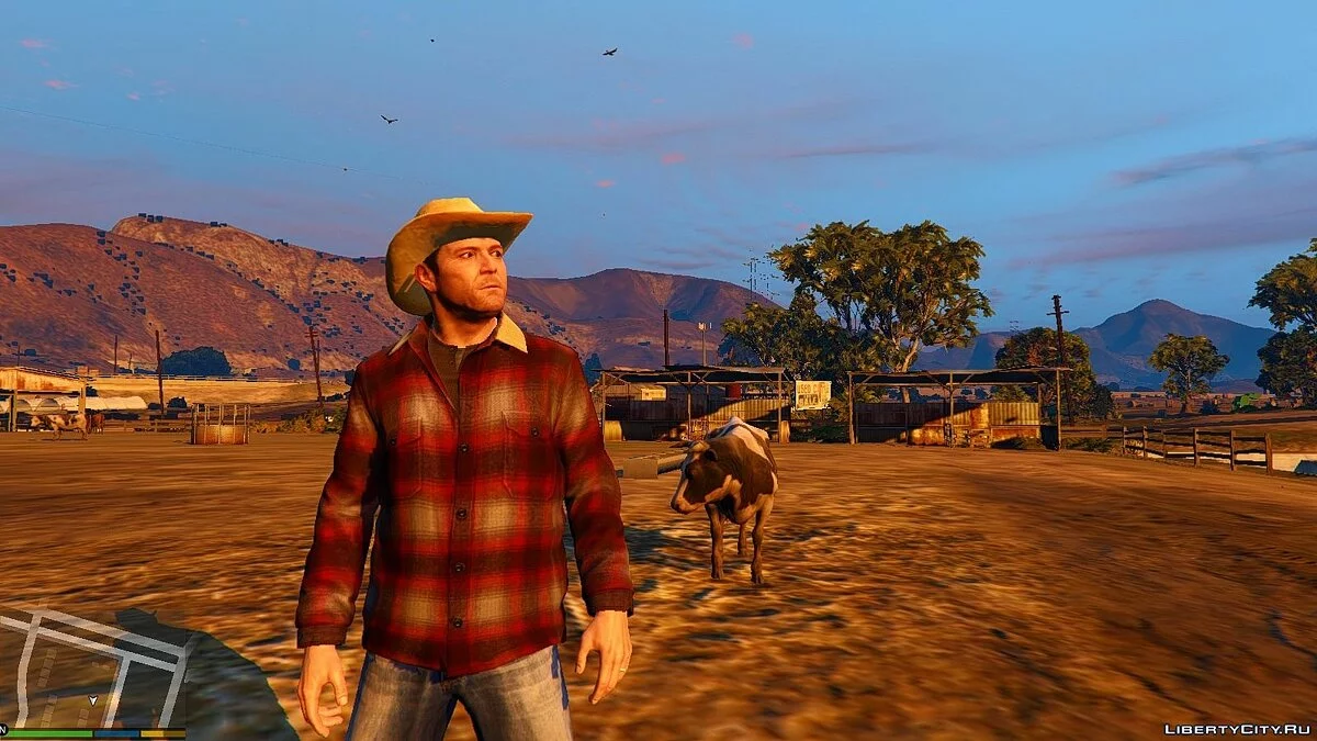 Cowboy Hat / GTA 5