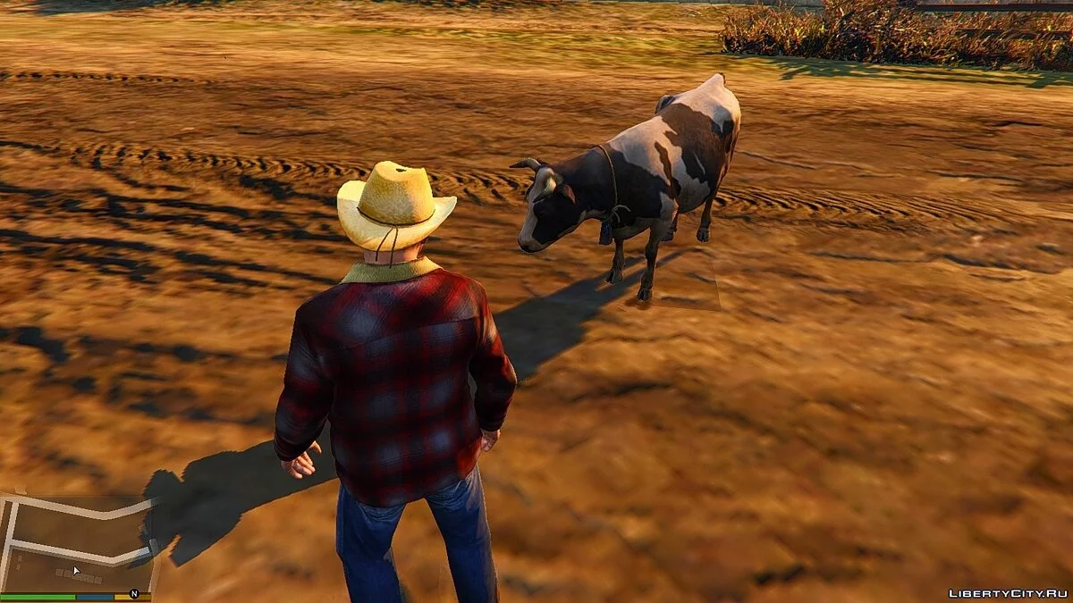Cowboy Hat / GTA 5