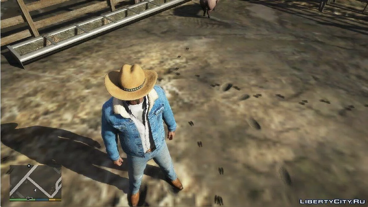 Cowboy Hat for Michael Franklin and Trevor / GTA 5