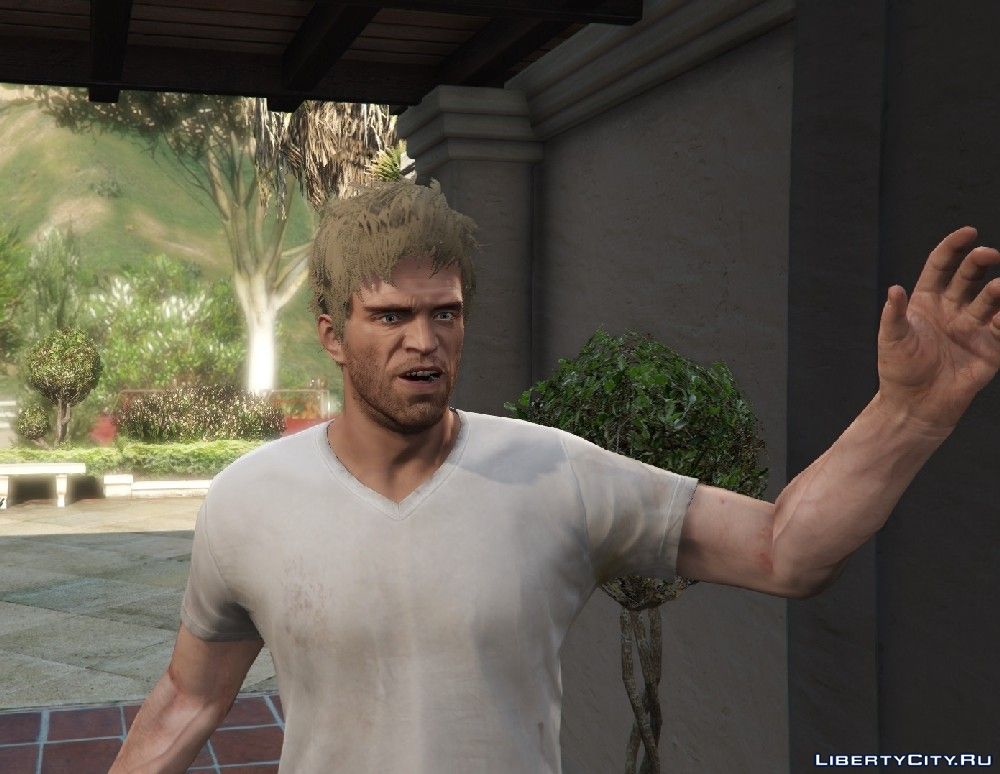 Download A pack of new hairstyles, face textures and beards for Trevor for GTA  5