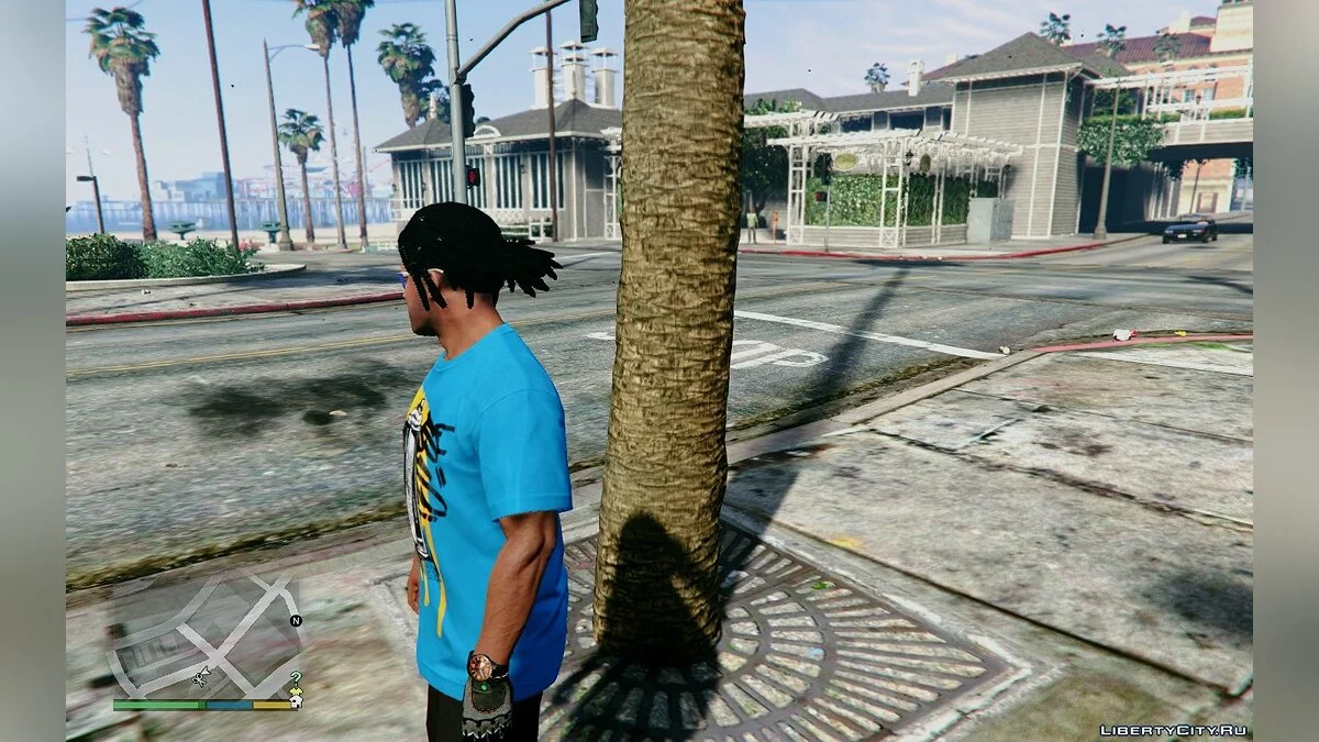 New Beard And Hair For Franklin / GTA 5