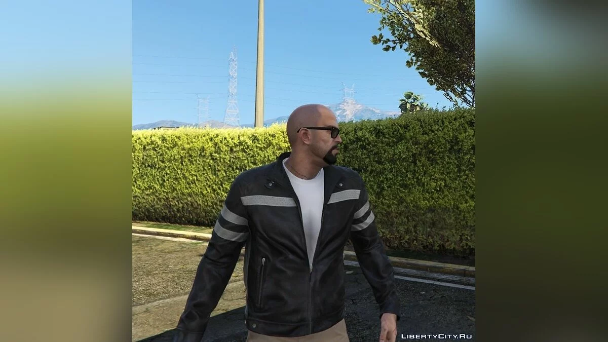 Сборник бород для Тревора / GTA 5