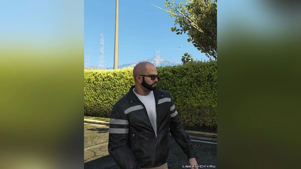 Сборник бород для Тревора / GTA 5