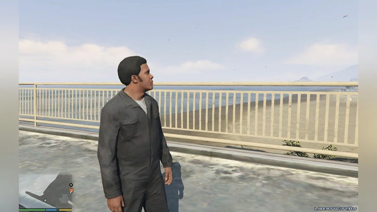 Michael and Franklin Sideburns / GTA 5