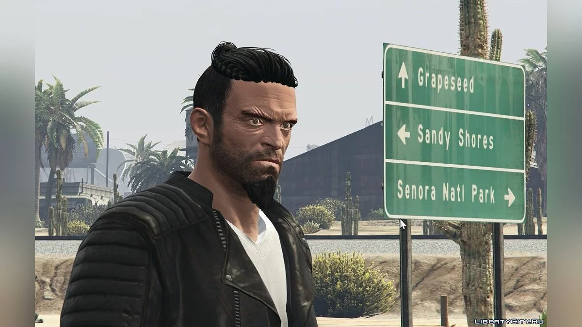 New Hair & Beards For Trevor / GTA 5