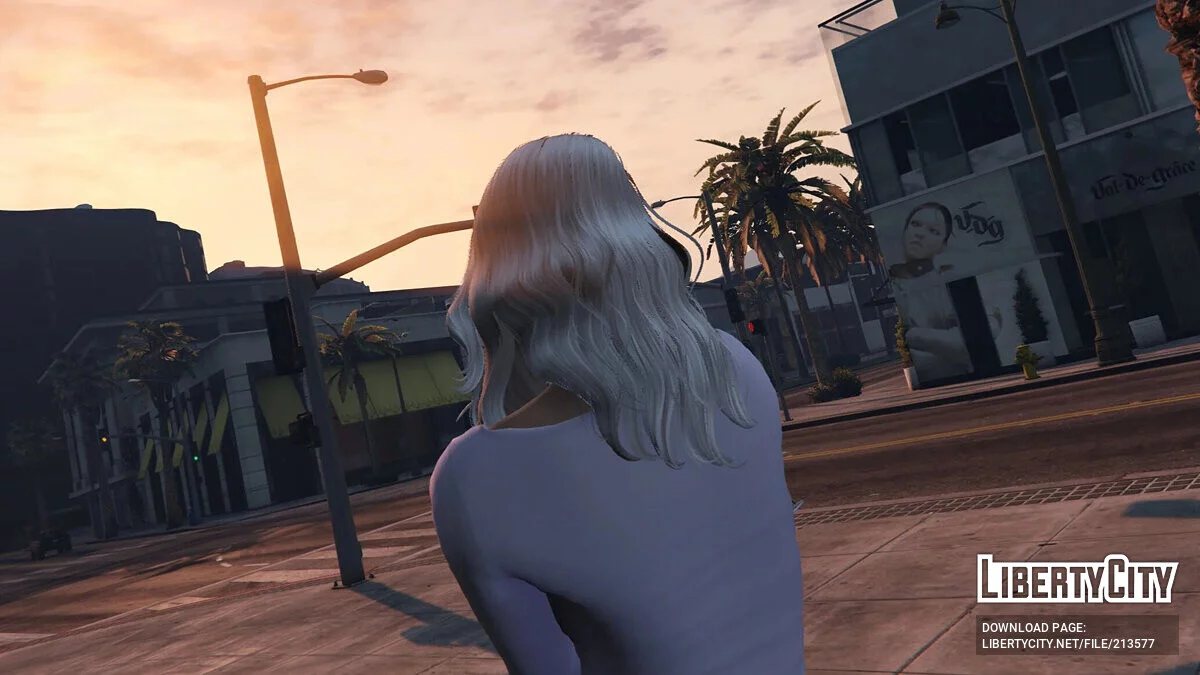 Francisca Hairstyle для MP Female / GTA 5