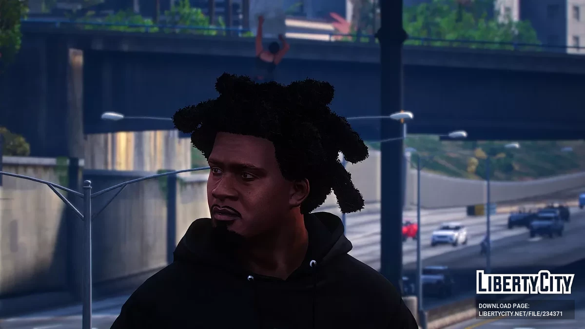 Новая прическа и борода в стиле Chicago Wicks для Франклина / GTA 5