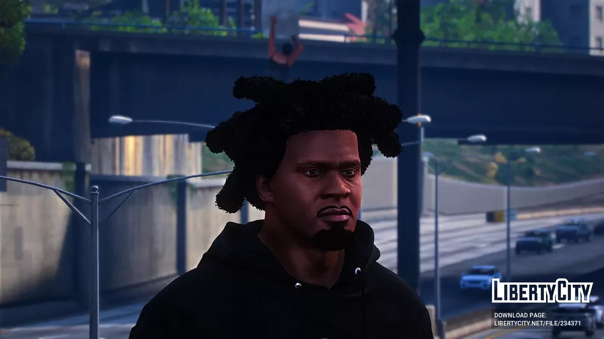 Новая прическа и борода в стиле Chicago Wicks для Франклина / GTA 5