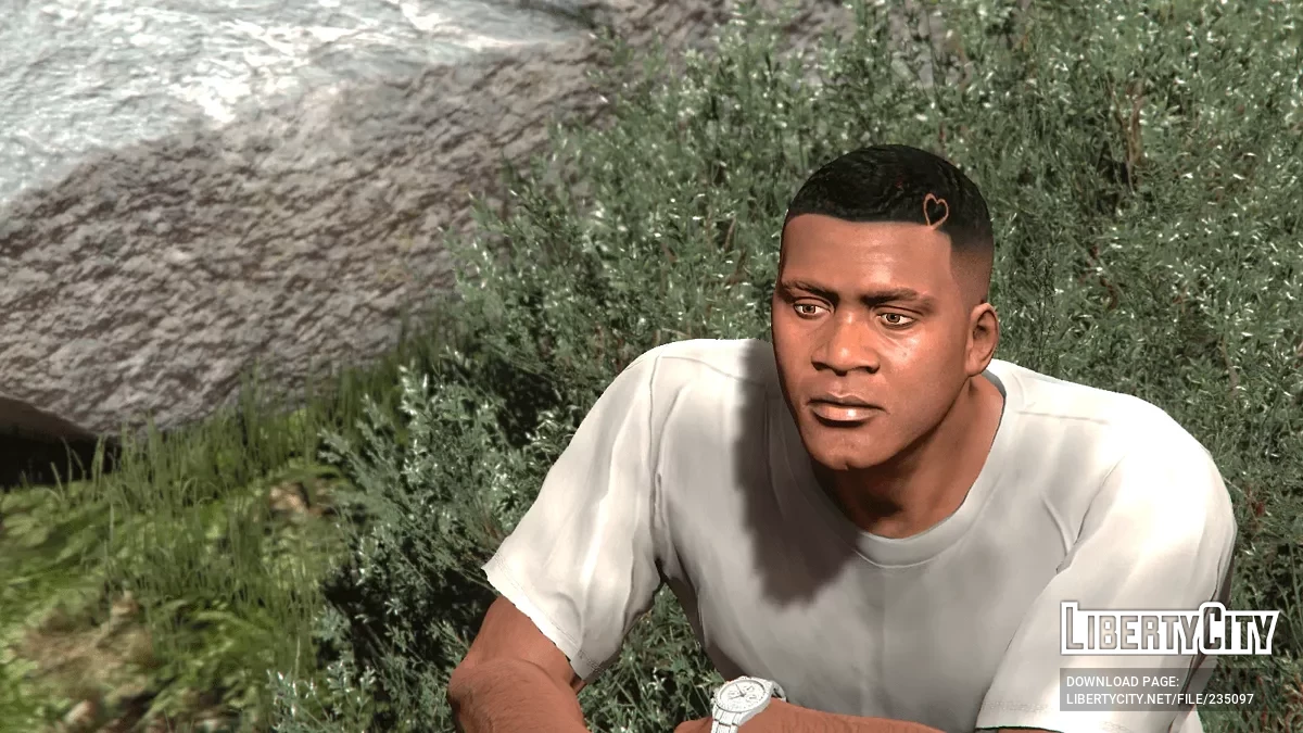 Стрижка Дрейка для Франклина / GTA 5