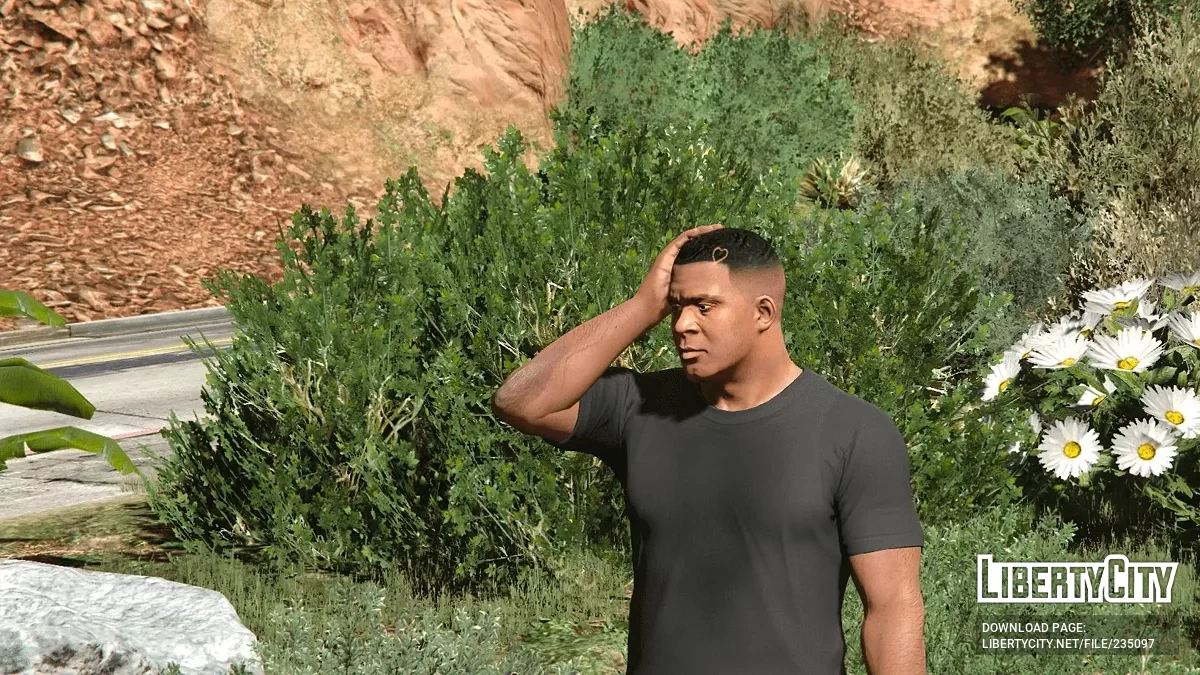 Стрижка Дрейка для Франклина / GTA 5