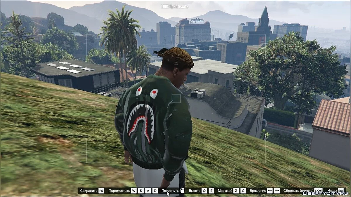 Bape Bomber Jacket 1.0 / GTA 5