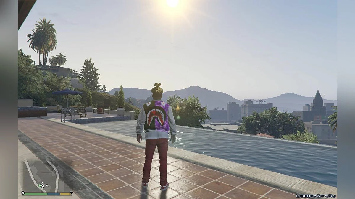BAPE Jacket Final / GTA 5