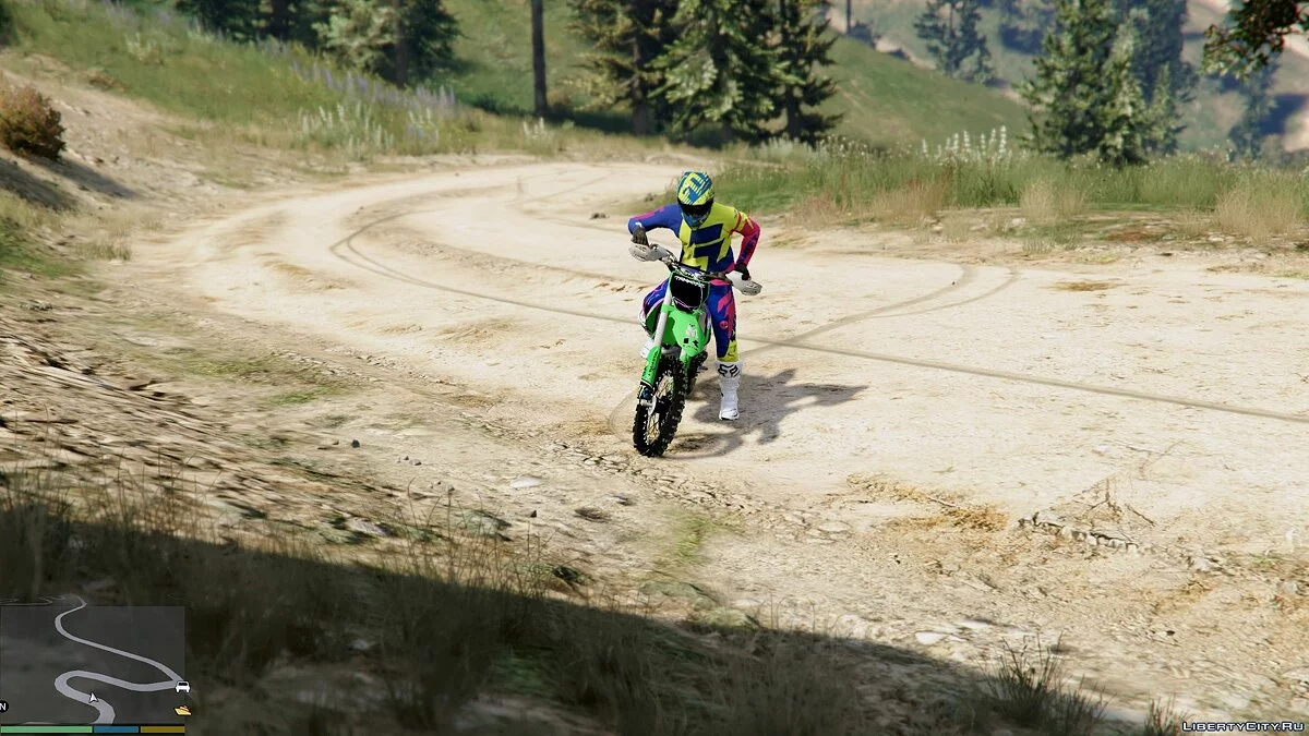 Limited Edition 2015 SHIFT Faction Reed A1 Race-wear / GTA 5