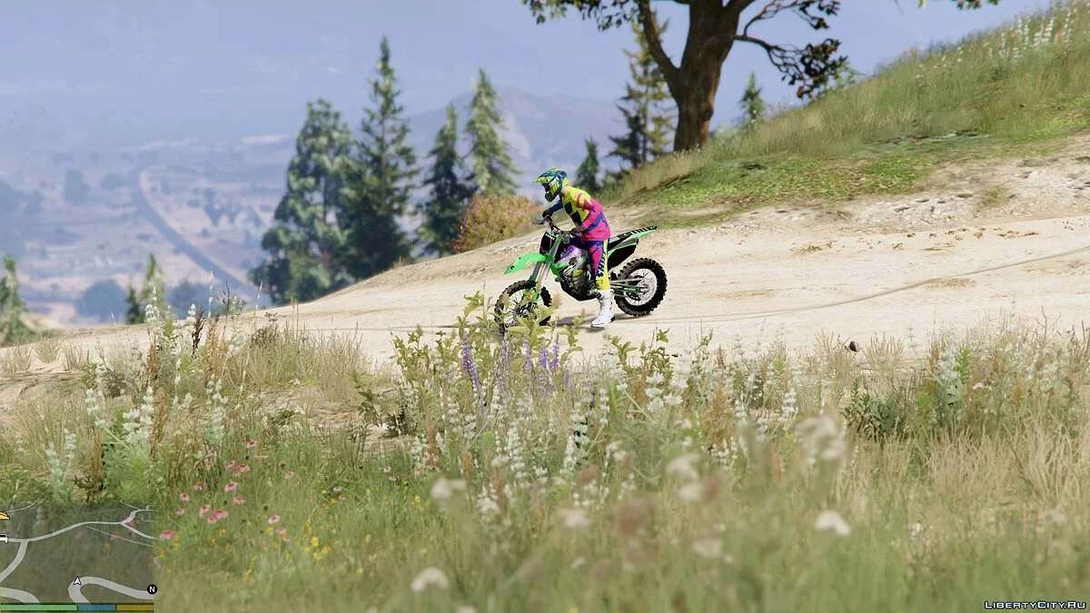 Limited Edition 2015 SHIFT Faction Reed A1 Race-wear / GTA 5