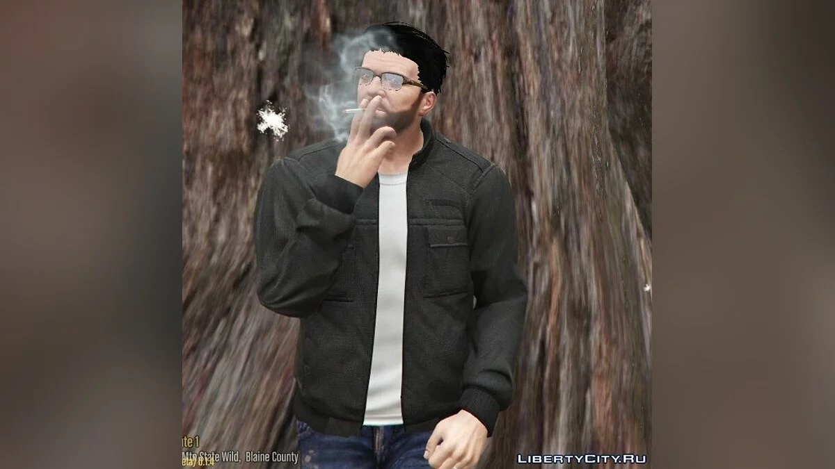 Куртка Франклина для Майкла / GTA 5