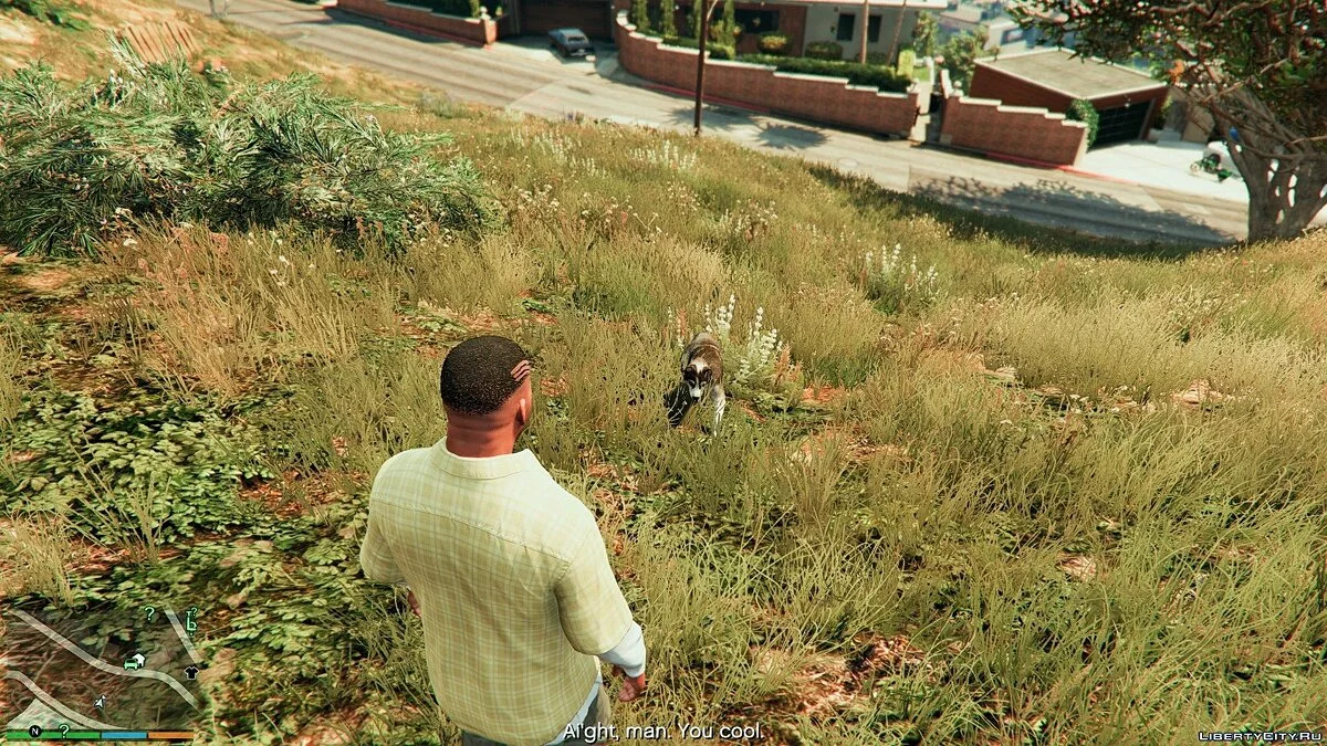 Хаски вместо Чопа / Chop to Husky Mod 1.0	  / GTA 5