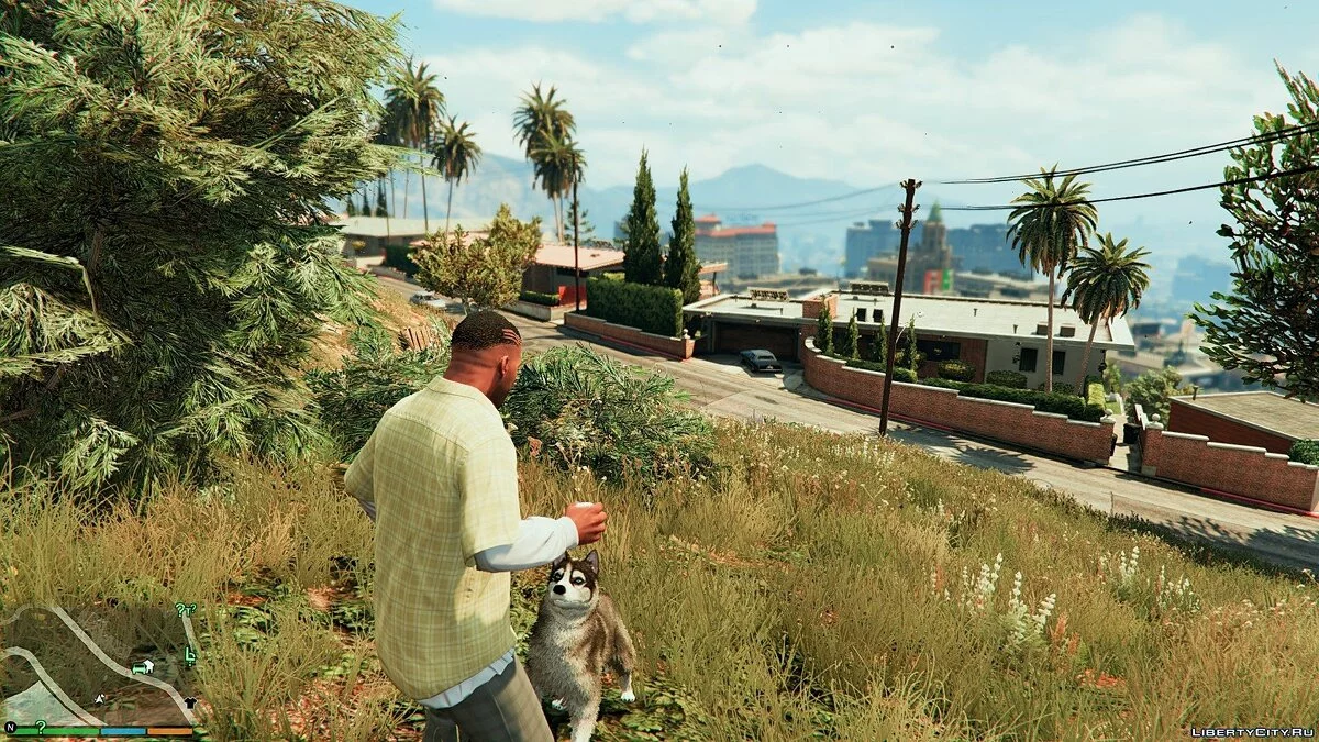 Хаски вместо Чопа / Chop to Husky Mod 1.0	  / GTA 5