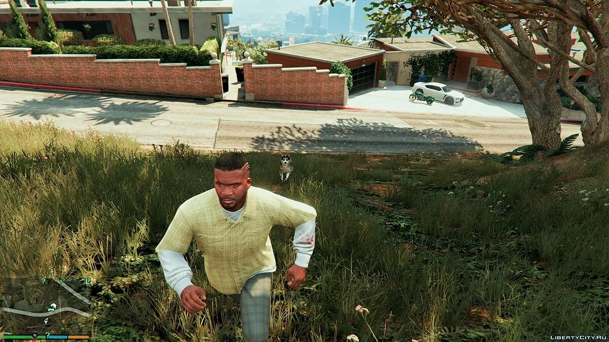 Хаски вместо Чопа / Chop to Husky Mod 1.0	  / GTA 5