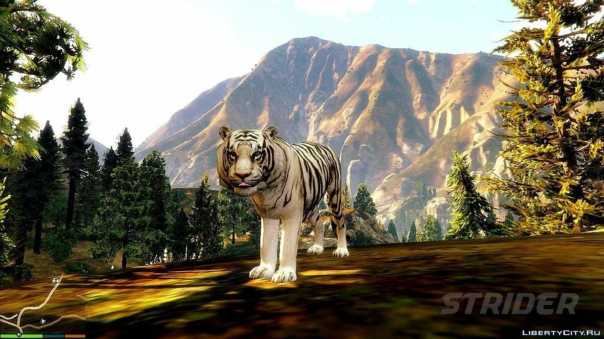Bengal Tiger / GTA 5