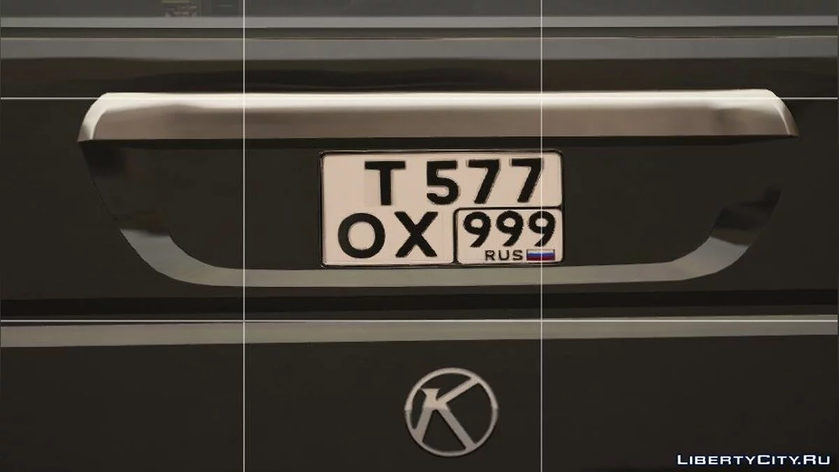 Russian license plate / GTA 5