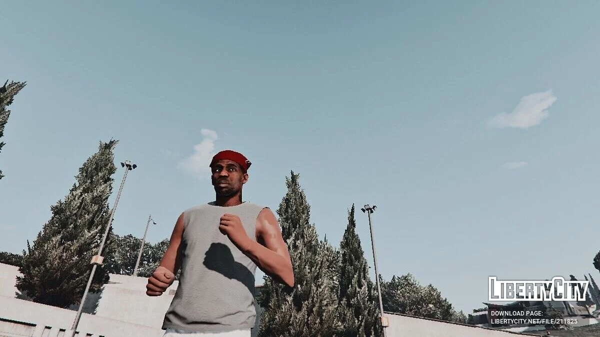 The Nike Project - комплект спортивной одежды для Франклина / GTA 5
