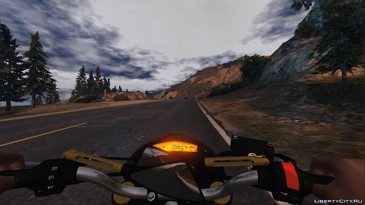 Honda Hornet 600 2014 [DigitalDials - Addon/Replace] 1.0 / GTA 5
