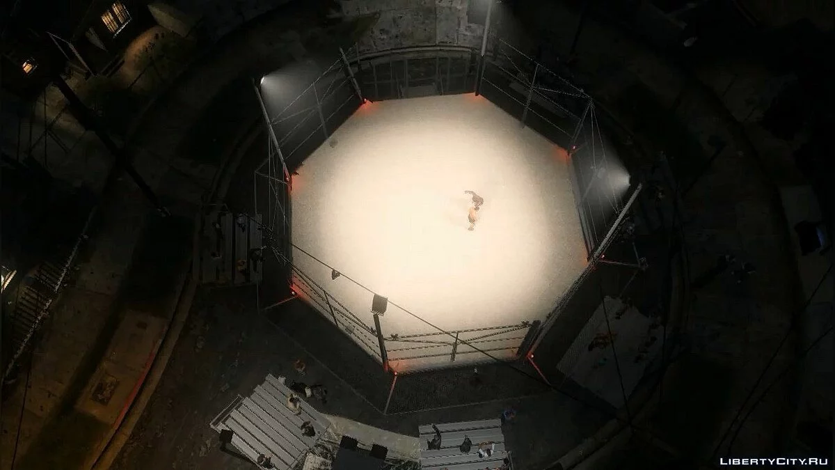 UFC The Octagon 1.0 / GTA 5