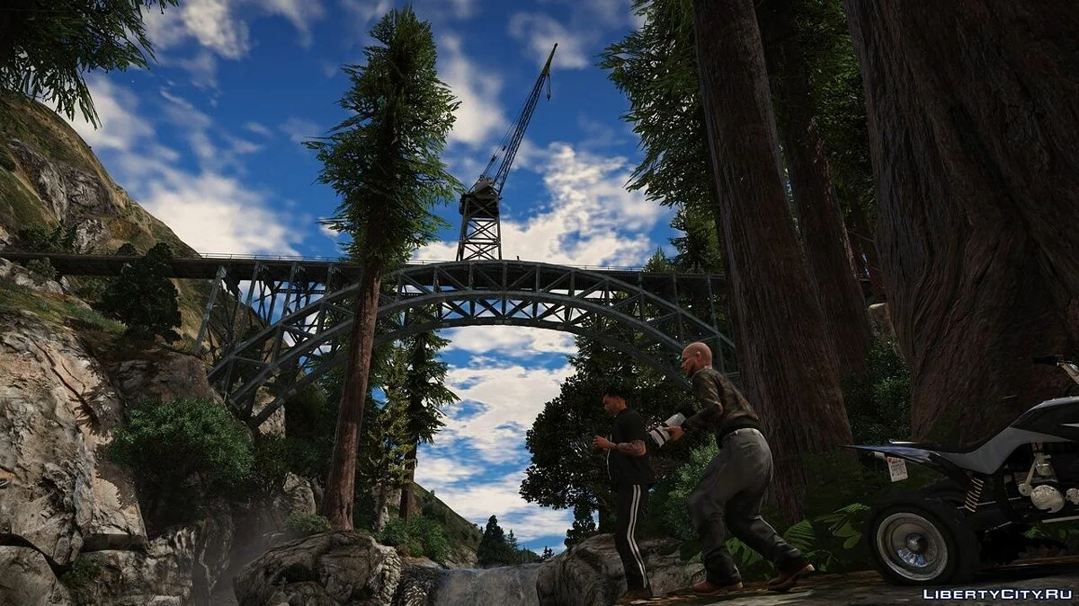 Лесная карта / GTA 5