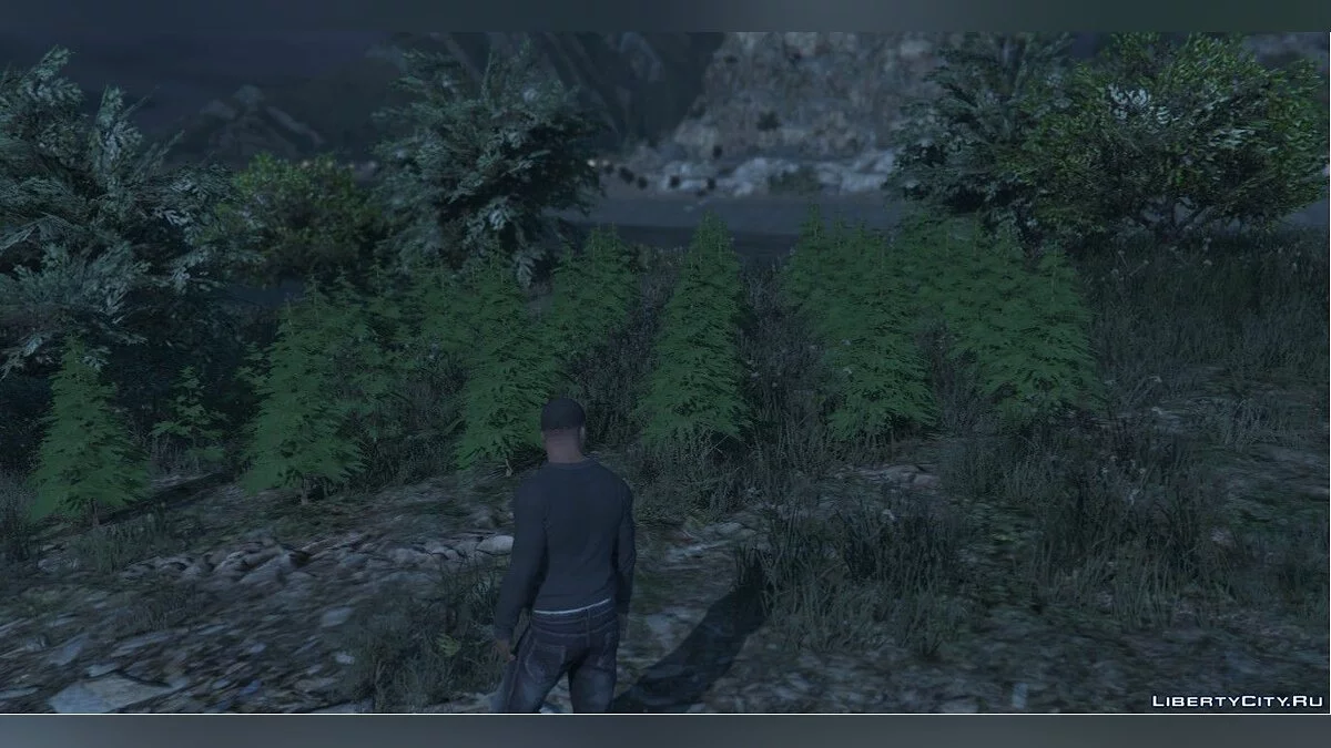 Поле конопли / GTA 5