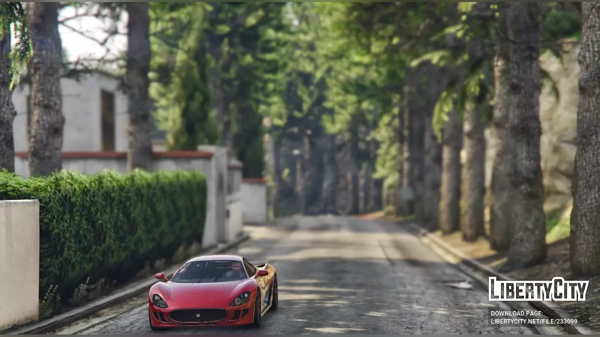 Деревья у дома Франклина / GTA 5