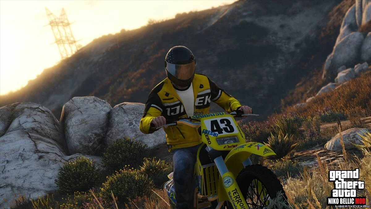 Niko Bellic 2.7.1 / GTA 5