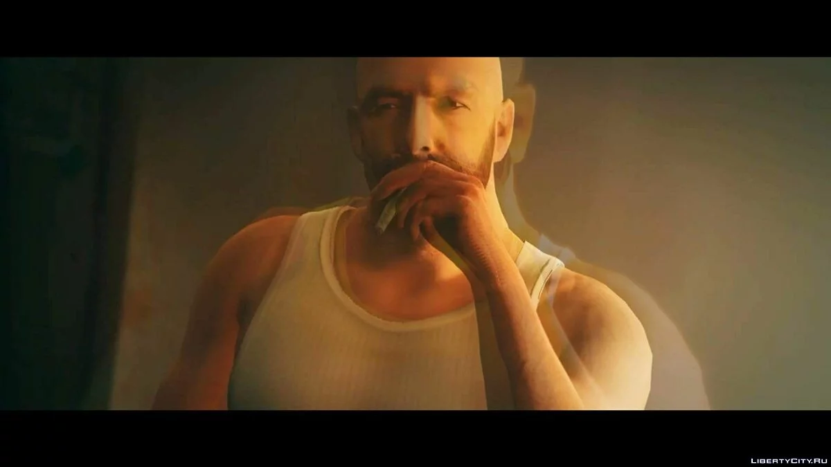 Max Payne / GTA 5