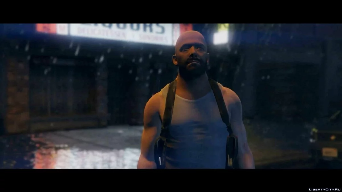 Max Payne / GTA 5
