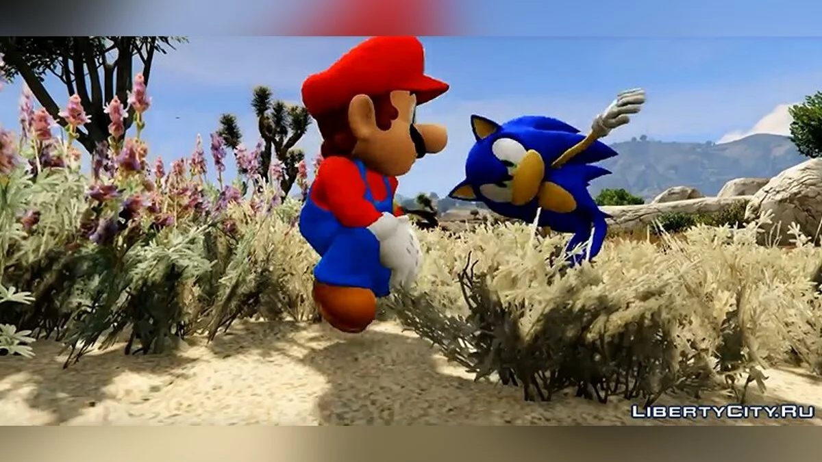Sonic The Hedgehog / GTA 5
