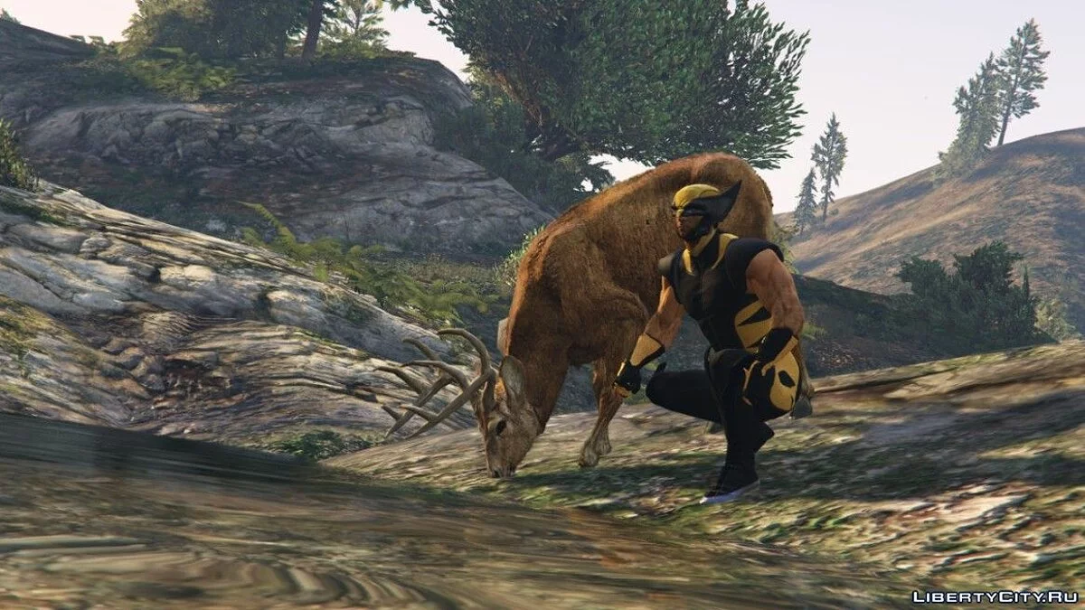 The Wolverine (Hugh Jackman