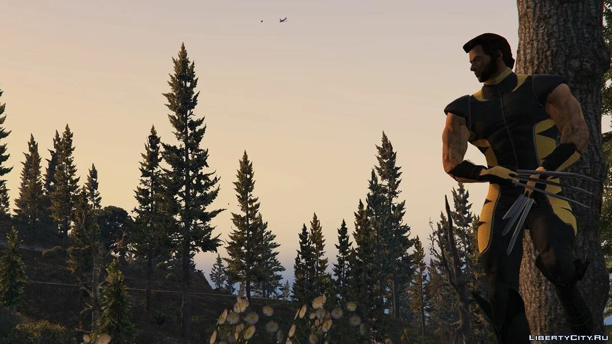 The Wolverine (Hugh Jackman