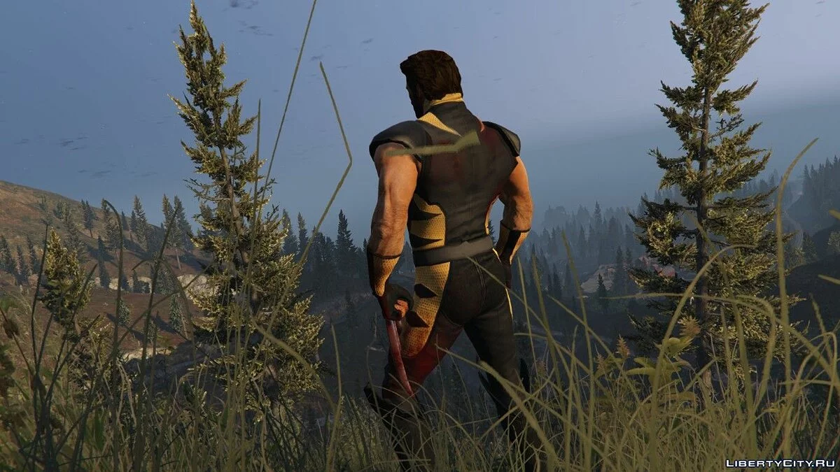 The Wolverine (Hugh Jackman