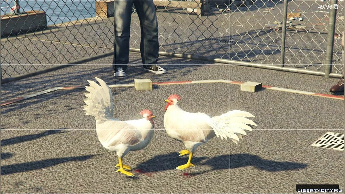 Мод на петухов - Rooster-Gallo(peruano) New Animals / GTA 5