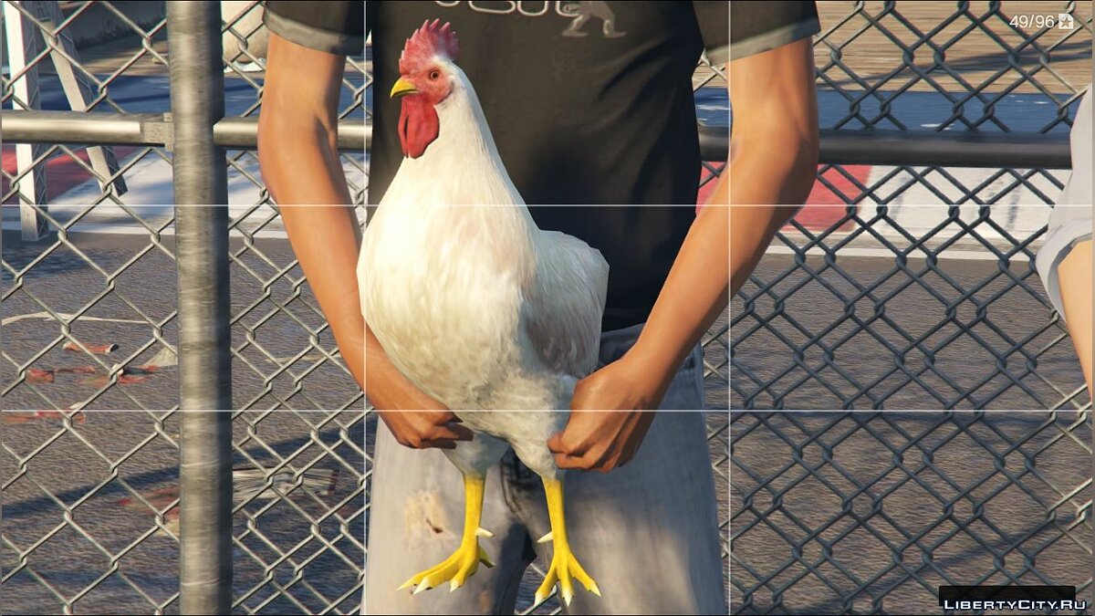 Скачать Мод на петухов - Rooster-Gallo(peruano) New Animals для GTA 5