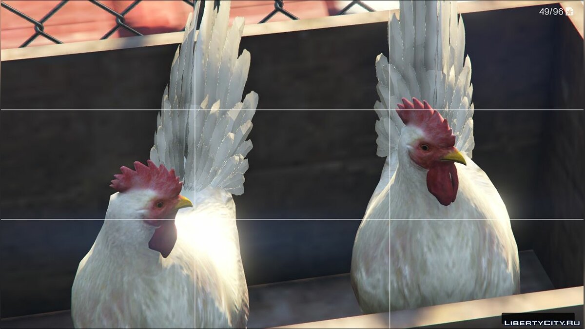 Скачать Мод на петухов - Rooster-Gallo(peruano) New Animals для GTA 5