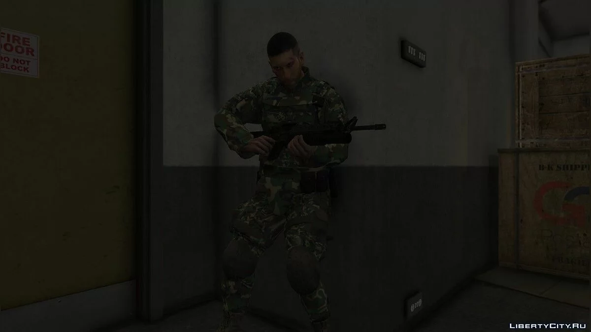 Фрэнк Касл  / GTA 5