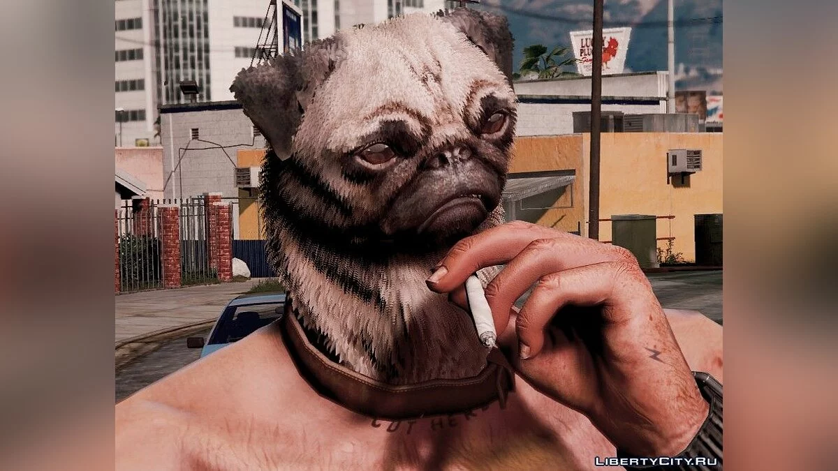 Человеко-мопс / GTA 5