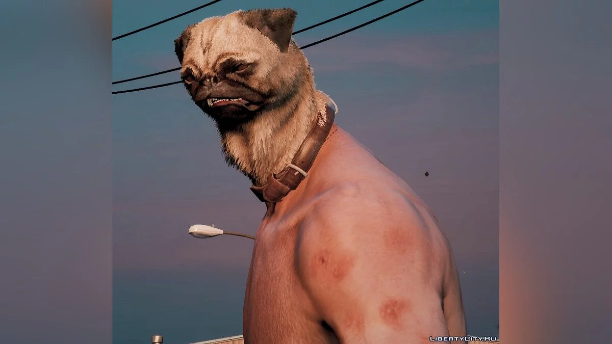 Человеко-мопс / GTA 5