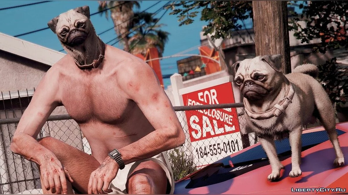 Человеко-мопс / GTA 5