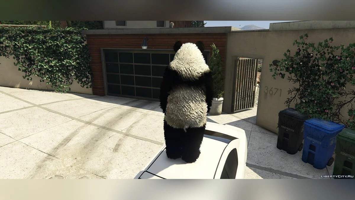 Панда / GTA 5