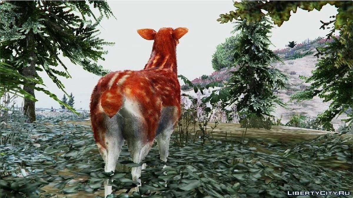 Fallow Deer / GTA 5
